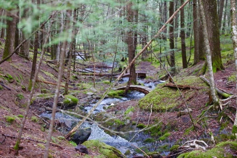 Windhorse Farm, Canada Retreat